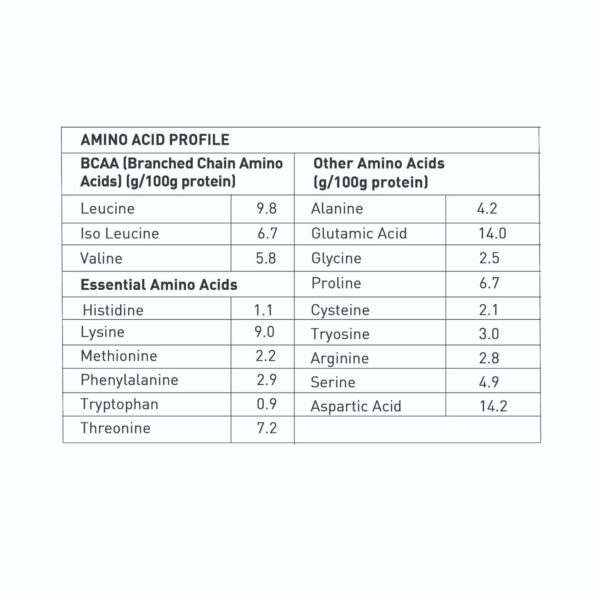 Avvatar 100% Performance Whey Protein