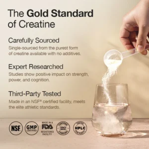 Wellbeing Nutrition Creatine Monohydrate + HCL | 100g | 300mg Taurine | Unflavoured