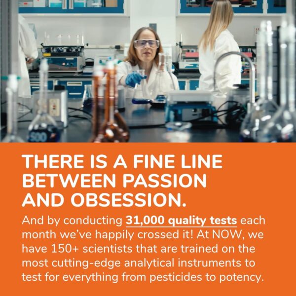 Now Silymarin Milk Thistle Extract