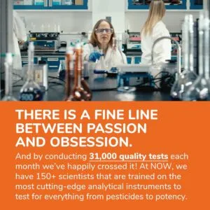 Now Mega D3 & MK-7 Capsules 60 Capsules