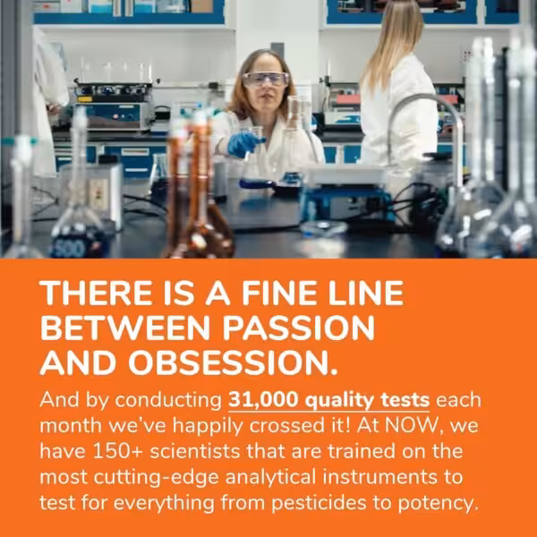 Scientists in a lab. NOW conducts 31,000 quality tests monthly with 150+ scientists testing for pesticides and potency