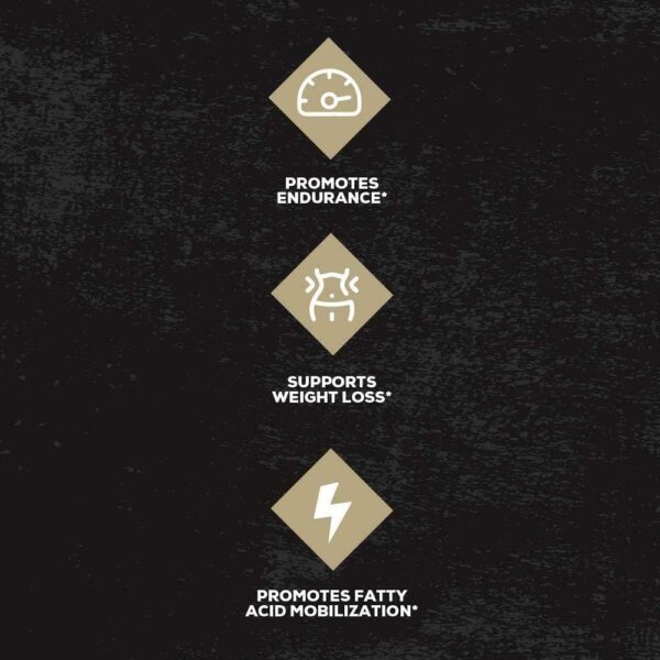 REDCON1 Beta Alanine Preworkout