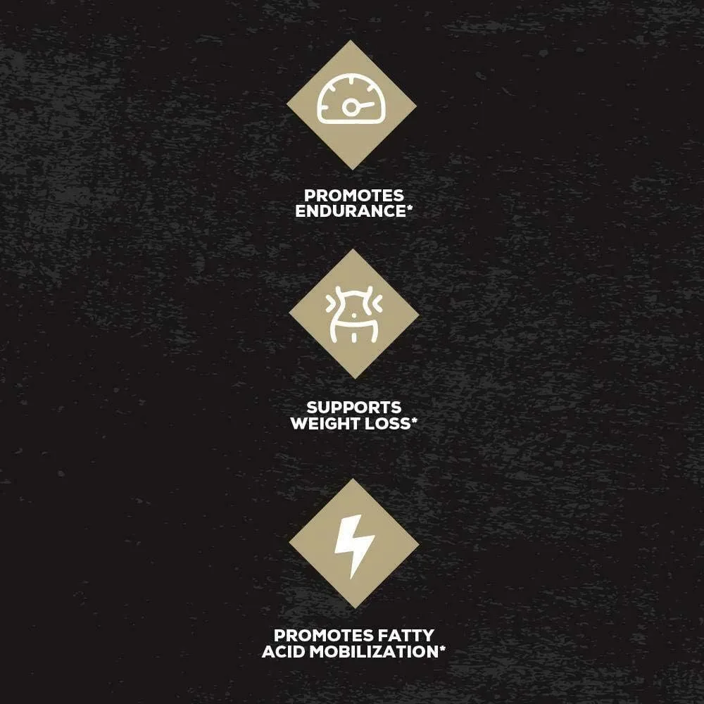 REDCON1 Beta Alanine Preworkout - Image 3