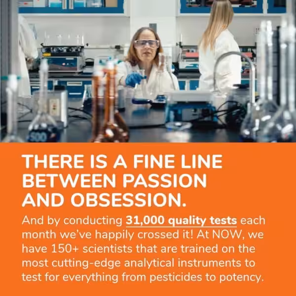 Scientist in a lab. There is a fine line between passion and obsession. NOW conducts 31,000 quality tests monthly with 150+ scientists testing for pesticides to potency
