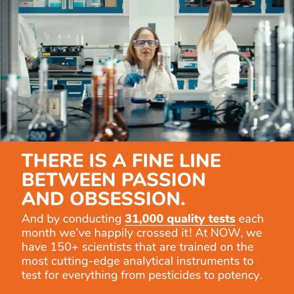 Now Joint Support Capsules, 90Caps