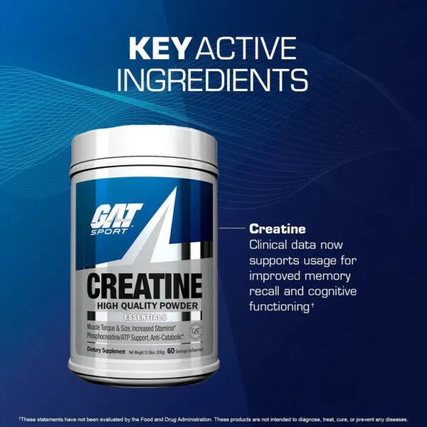 GAT Sport Creatine High Quality Powder, 60 servings — key active ingredient: Creatine, shown to support memory recall and cognitive functioning