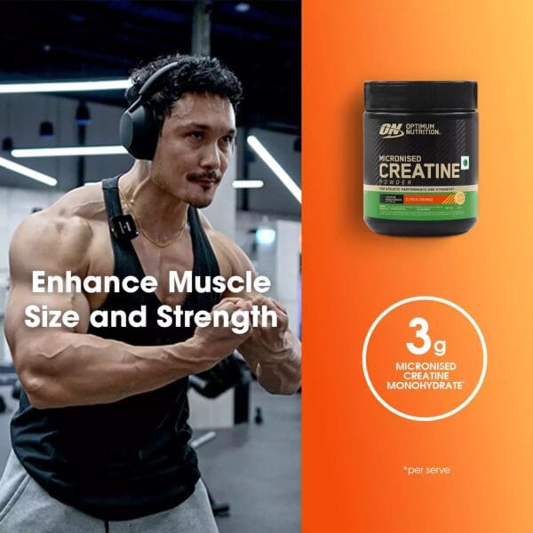 Optimum Nutrition (ON) Micronized Creatine Powder - Flavored