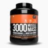 QNT 3000 Muscle Mass Weight Gainer
