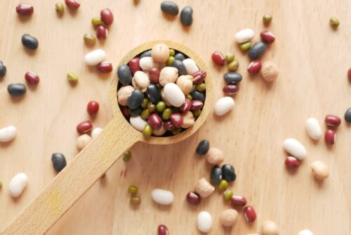 Mixed beans and legumes in a wooden scoop, a plant protein source compared with whey protein