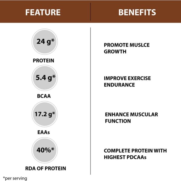 image of six pack nutrition just whey protein powder 2kg