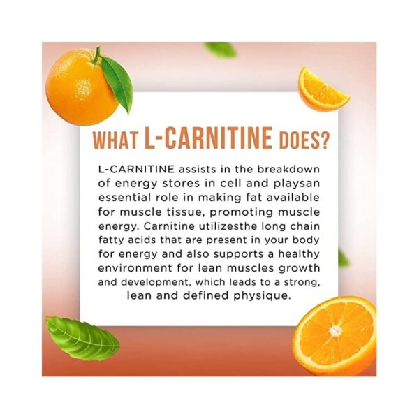 image of big muscles nutrition liquid l carnitine